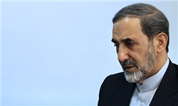 آیت‌الله ناصری خطاب به ولایتی:شما بازوی انقلاب و رهبری هستید