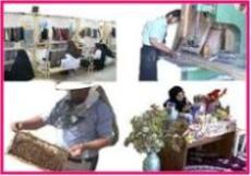 مصلحت ، آینده نگری و اطمینان ، مهمترین اصول در انتخاب رشته تحصیلی
