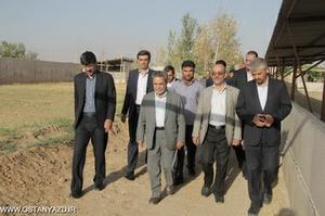 بازدید استاندار یزد از ایستگاه پرورش آهو و انارستان مهریز