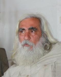 بنام امام رضا (ع)! بکام سرو مارلیک و ...!؟