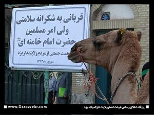 قربانی شتر به شکرانه سلامتی ولی امر مسلمین، حضرت‌ امام خامنه‌ای