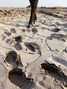 گزارش تصویری از کال نمک؛ یکی دیگر از جاذبه های کویری شهرستان طبس