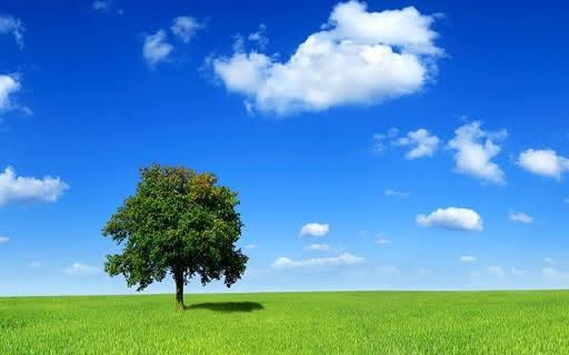 کاهش سه درجه‌ای دما در یزد