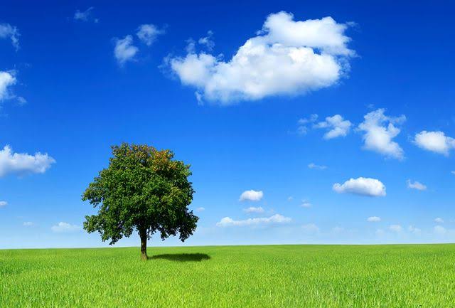 افزایش دما و سرعت باد در استان یزد