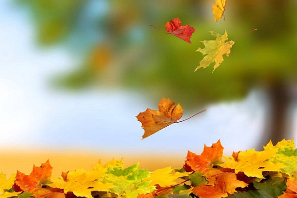 کاهش ۹ درجه‌ای دما در استان یزد