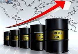 پس از اعلام  «سهیل» المزروعی: قیمت نفت در بازار جهانی را افزایش یافت