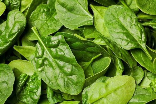 ۵ سبزی خوشمزه که به تناسب اندام کمک می‌کند