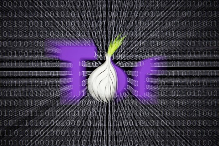 هشدار: انتشار نسخه جعلی مرورگر تور برای شناسایی هویت کاربران در فضای آنلاین