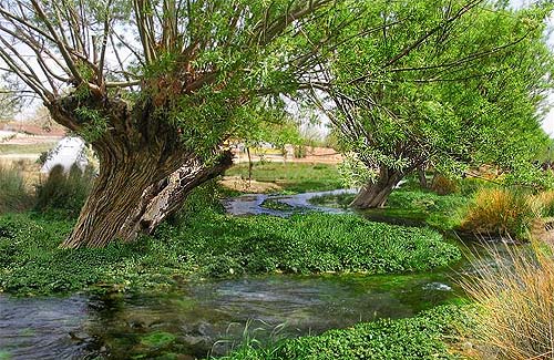 کرونا بار دیگر تفرجگاه‌های باغشهر تاریخی یزد را تعطیل کرد