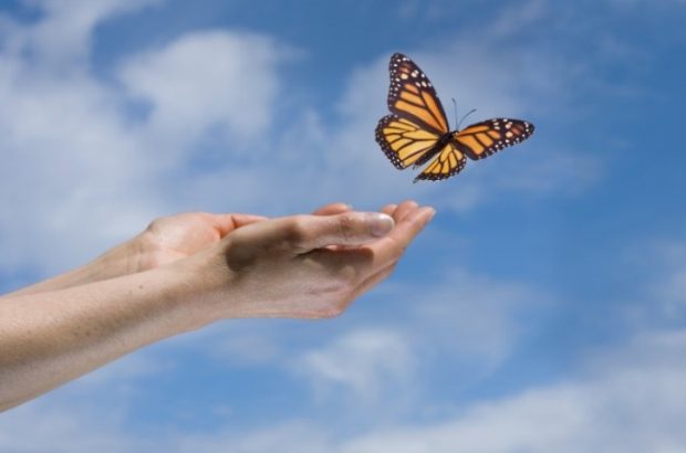 آزادی ۱۴ محکوم مالی یزدی در ماه صفر