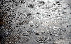 ثبت 120.9 میلی متر بارندگی در استان یزد