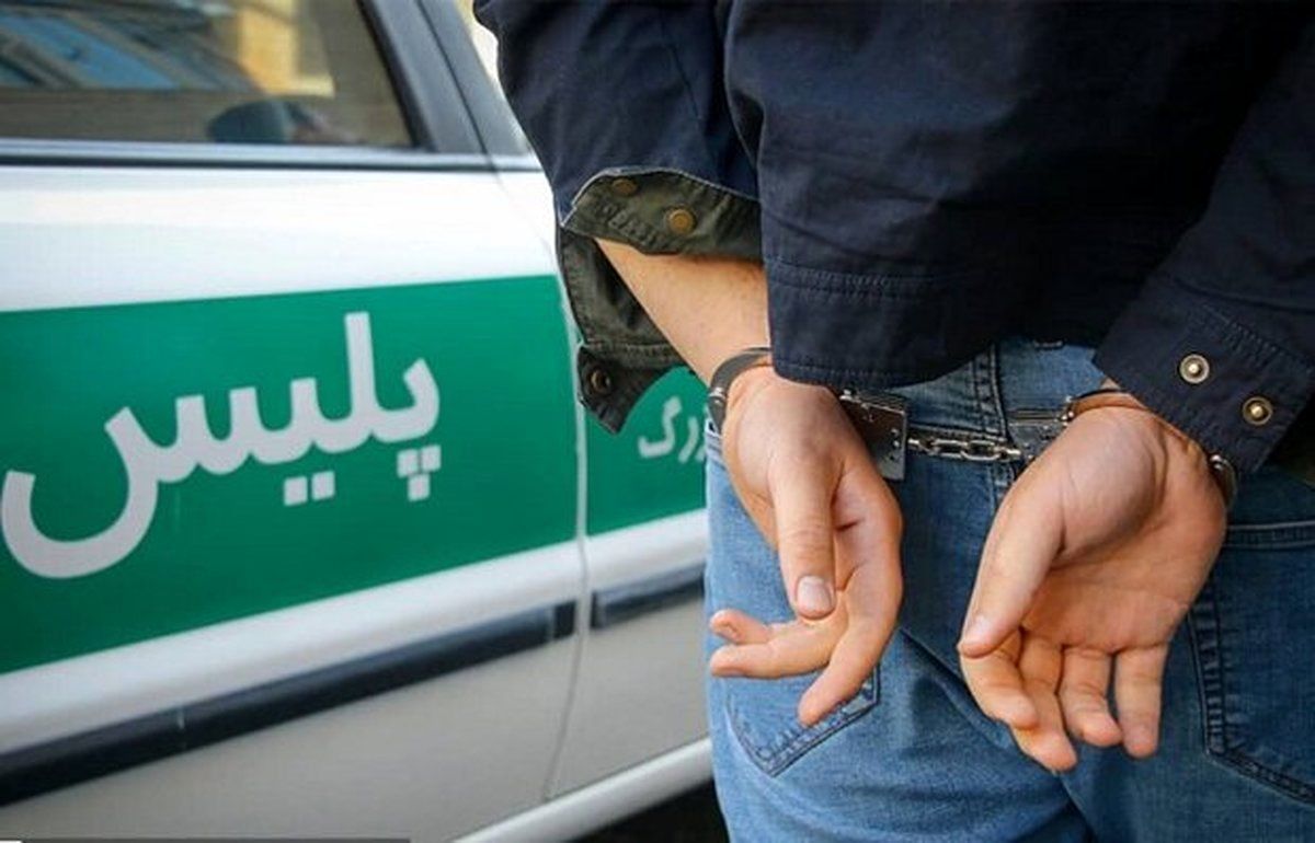 دستگیری ۳۸ سارق و کشف ۸۵ فقره سرقت در یزد