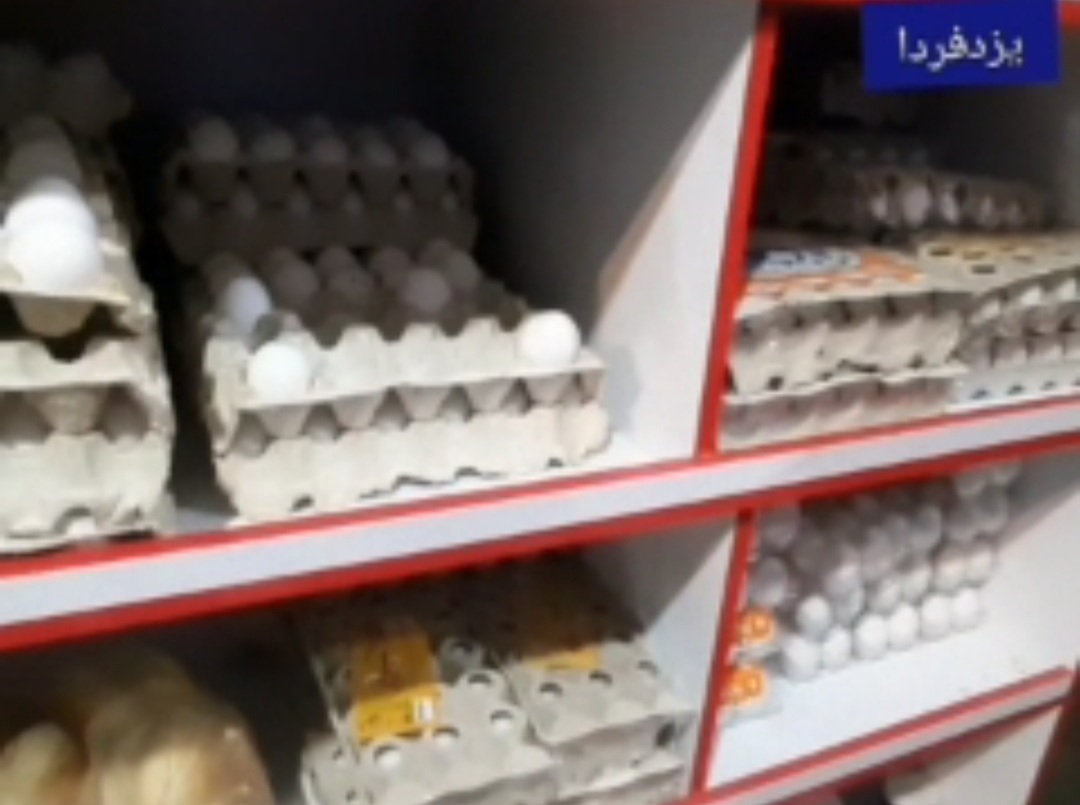 گزارش از روند توزیع تخم مرغ در شهر یزد