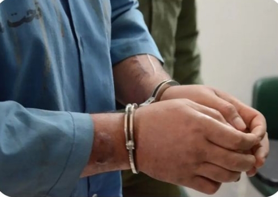 دستگیری سارق حرفه ای در طبس 