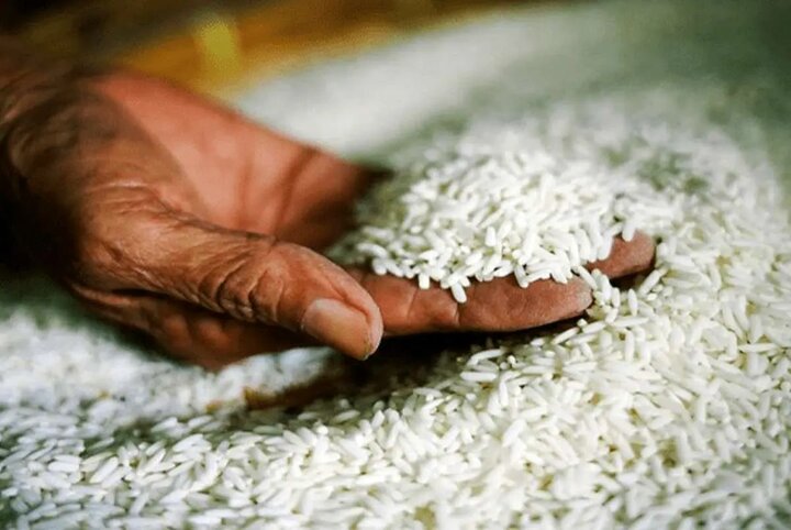 پیشگوتر از سیمپسون‌ها