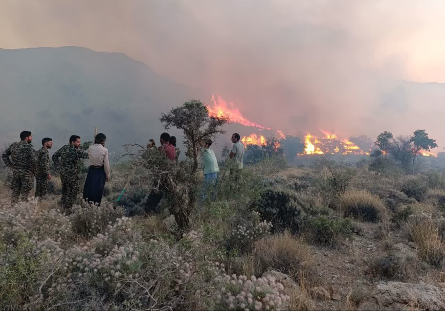 مهار آتش سوزی منطقه باغشادی خاتم پس از ۹ ساعت تلاش بیوقفه مهار آتش سوزی منطقه باغشادی خاتم پس از ۹ ساعت تلاش بیوقفه