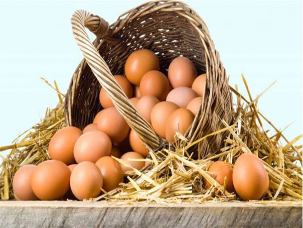 خط ونشان سازمان صمت برای گرانفروشان / تخم مرغ را در یزد گرانتر نخرید
