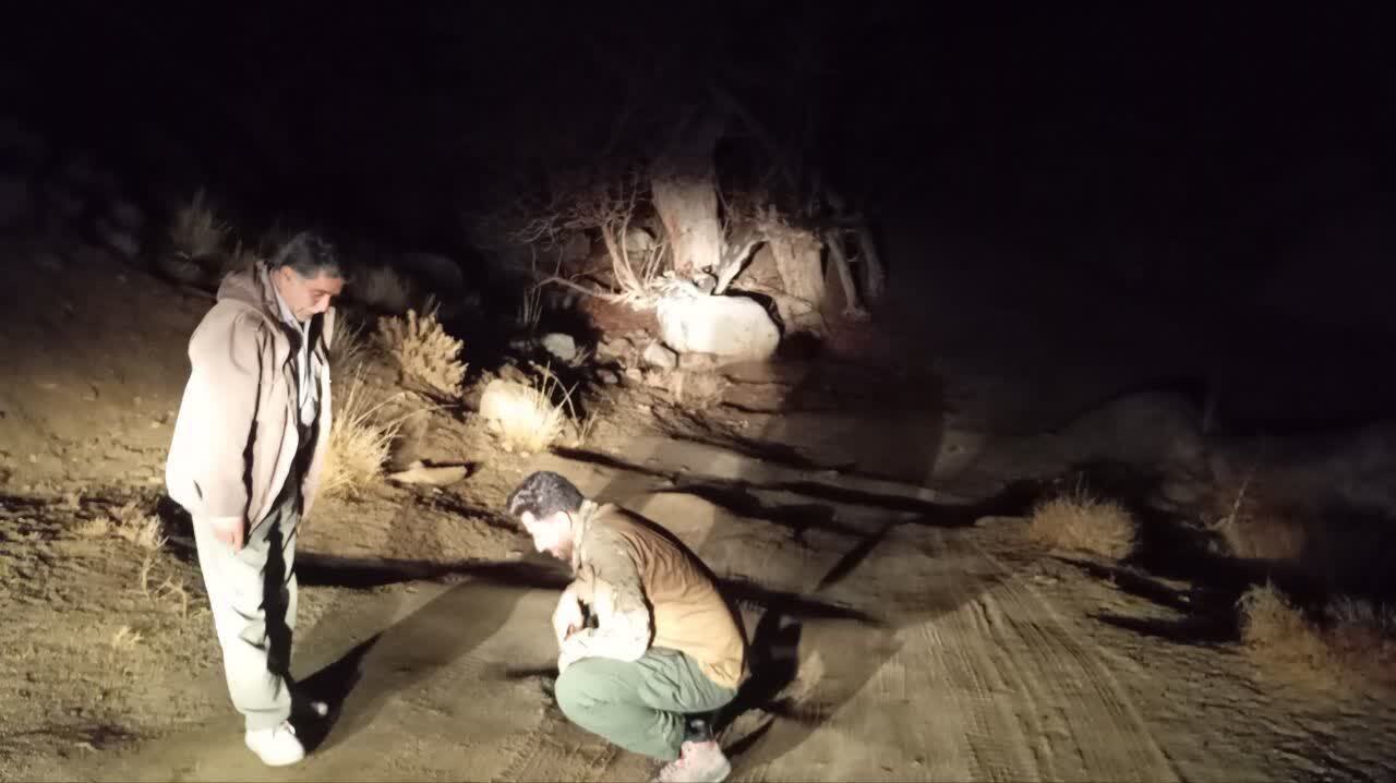 افزایش جمعیت گزار‌ها در باغات و مزارع روستا‌های شهرستان تفت