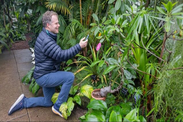 گفتگو با گیاهان با کمک هوش مصنوعی