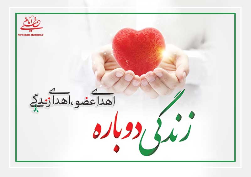 ثبت سی و نهمین و چهلمین اهدا عضو سال جاری در یزد