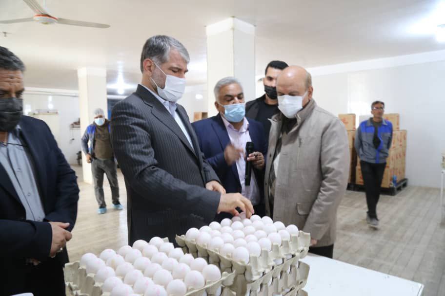 توسعه کشت گیاهان دارویی، گلخانه ها و دامپروری اولویت‌های وزارت جهاد کشاورزی در یزد