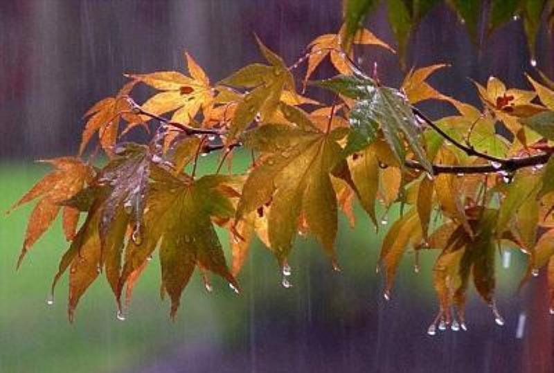 کاهش ۸ درجه‌ای دما در یزد