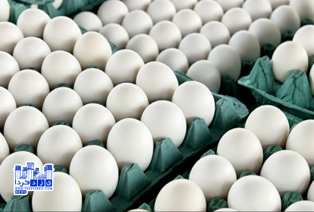 افزایش قیمت تخم مرغ در یزد