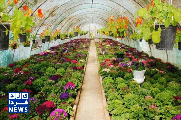 ۱۰ شهرک گلخانه ای در یزد احداث می شود