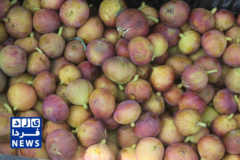 ۲ خبر از شهرستان مهریز