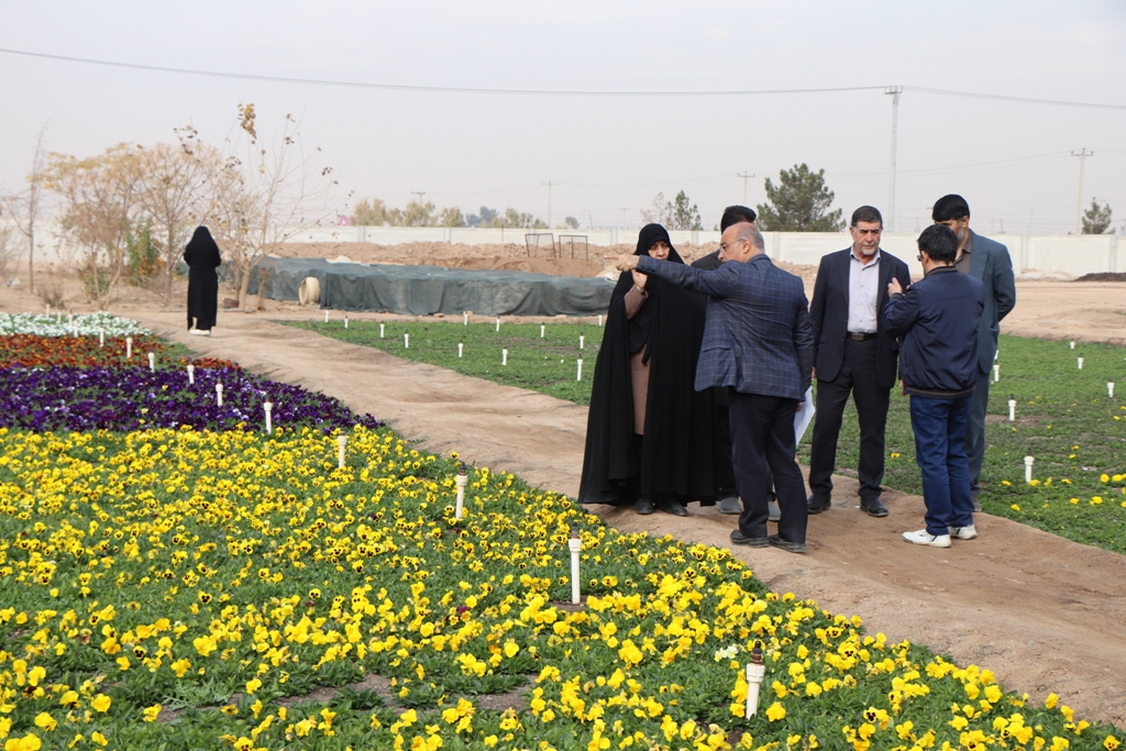 خودکفایی گلخانه شهرداری یزد در تولید انواع گل‌های فصلی و دائمی