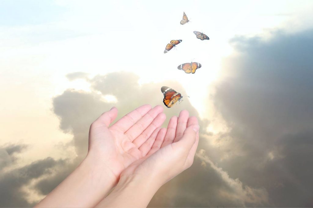 آزادی ۱۲۰ زندانی جرائم مالی در استان یزد از ابتدای امسال