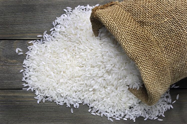 خود دولت موادغذایی را گران می‌کند، چون قیمت‌گذاری دست اوست