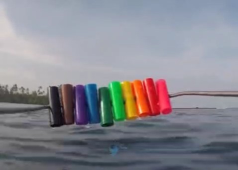 ببینید| رنگ‌ها در اعماق آب چطور دیده می‌شوند: